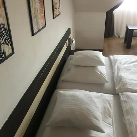 Отель Apartman Athos - *